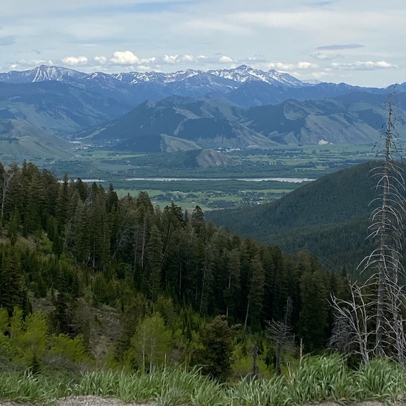 Meet your Posh Ambassador. - Picture 8 of 9